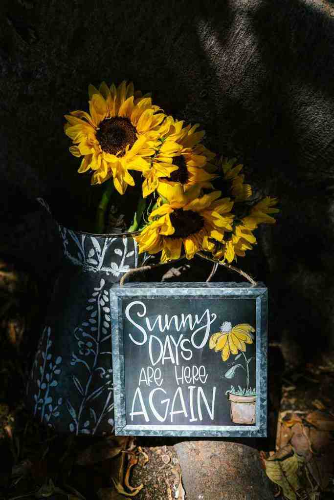 Living in Sunflower Meado Subdivision A Boise Idaho Paradise XO