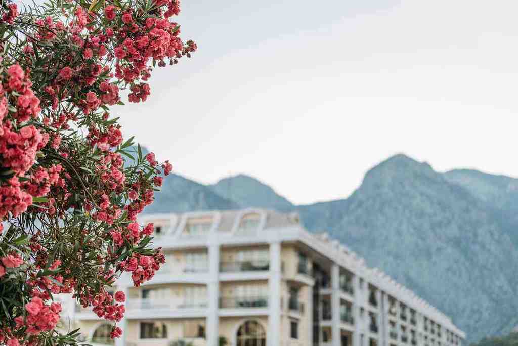 Grandee Sub Subdivision Experience the Elegance of Boise's Premier